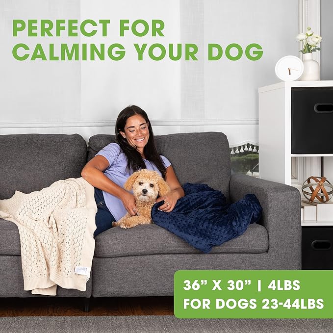BARMY Weighted Blanket for Dogs with Washable Cover (3 Sizes) Thunder Blankets for Dogs