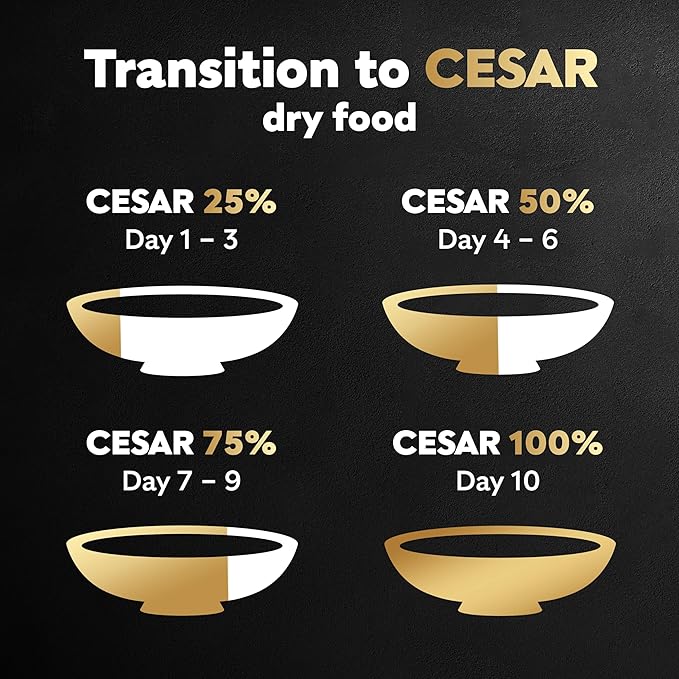 CESAR Adult Small Breed Dry Dog Food Rotisserie Chicken Flavor with Spring Vegetables Garnish, 5 lb. Bag