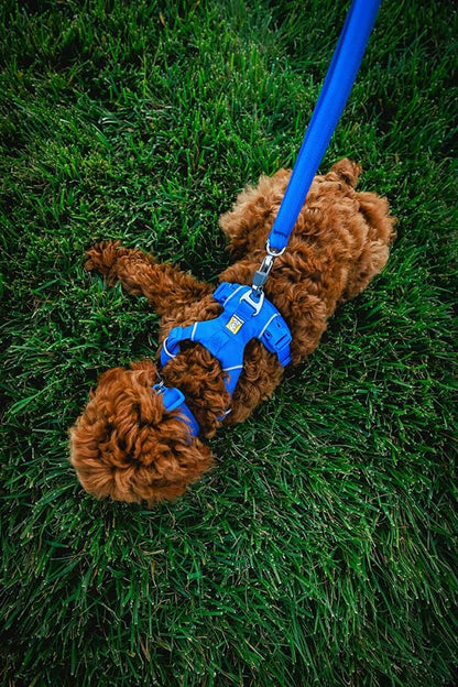 Ruffwear 11"-14"