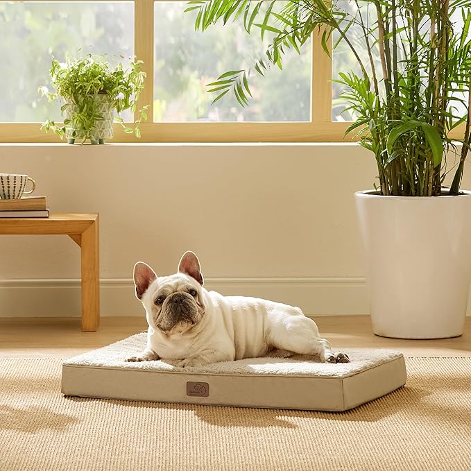 Bedsure Medium Dog Bed for Medium Dogs