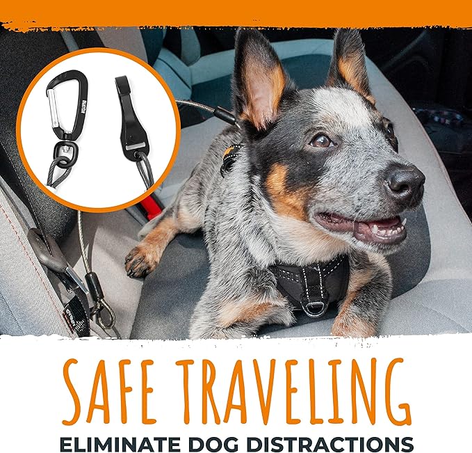 Mighty Paw Dog Seat Belt Vehicle - Chew-Proof Dog Belt - Great for Teething Puppies - Latch Bar Attachment Like Child's Car Seat - Aviation Aluminum Carabiner - Strong Enough for Climbers - 850+ LB