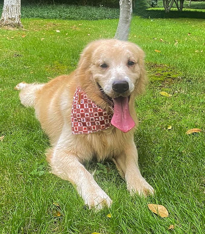 Christmas Day Dog Bandana Red Green Plaid Cotton