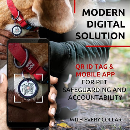 Waterproof Dog Collar