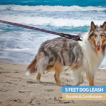 BAAPET 2/4/5/6 FT Dog Leash with Comfortable Padded Handle and Highly Reflective Threads for Small Medium and Large Dogs (5FT-1/2''