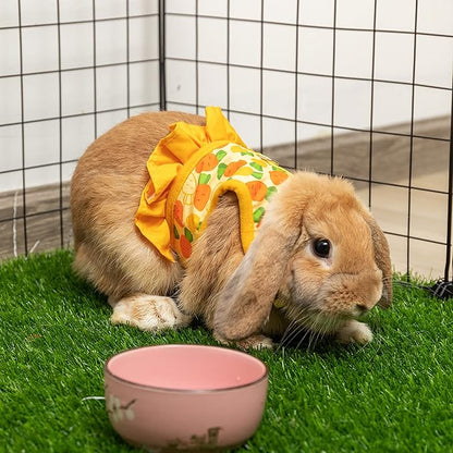Rabbit Harness and Leash for Walking Escape Proof