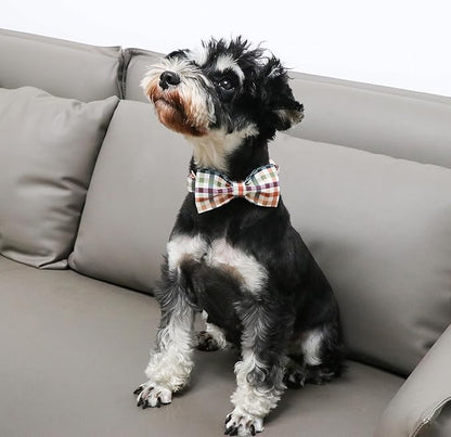 Unique Style Paws Cotton Dog Collar with Bow