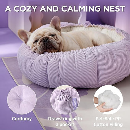 Lesure Cat Beds for Indoor Cats 21x21x7 Inches