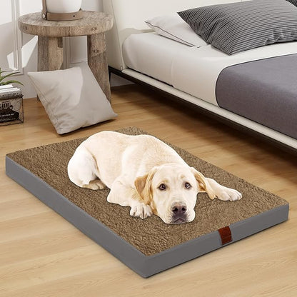Easy-Going Dog Bed for Medium Dogs (30x20x3 in,