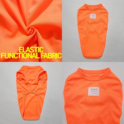 Dachshund Clothes for Dogs Mini and Adults Neon T Shirts (S