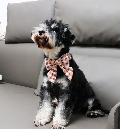Unique Style Paws Cotton Dog Collar with Bow