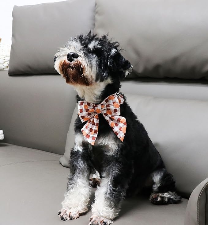 Unique Style Paws Cotton Dog Collar with Bow