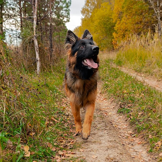 Dog Paw Trail Wax 2oz