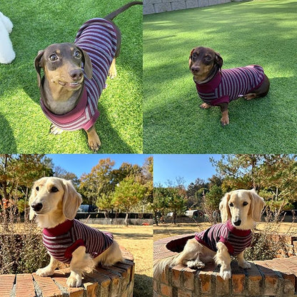 Dachshund Sweater for Dogs Lining Napping Stripe T Shirts (S