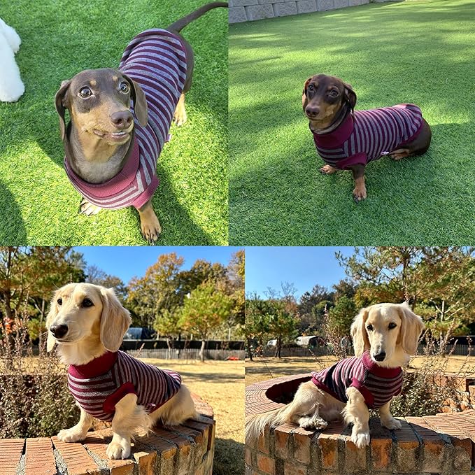 Dachshund Sweater for Dogs Lining Napping Stripe T Shirts (XL
