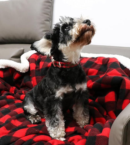 Unique style paws Dog Collar Metal Buckle Collar