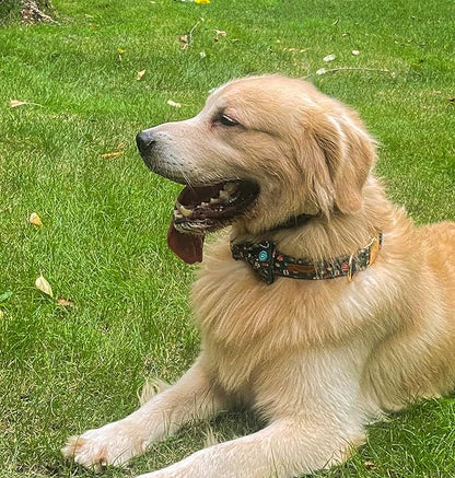 Christmas Day Dog Collar with Bow Red Green
