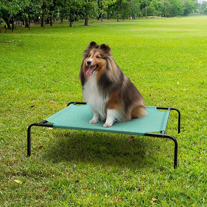 Elevated Dog Beds for Medium Dogs Indoor Outdoor