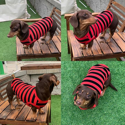 Dachshund Clothes for Dogs Mini and Adults T Shirts (XS