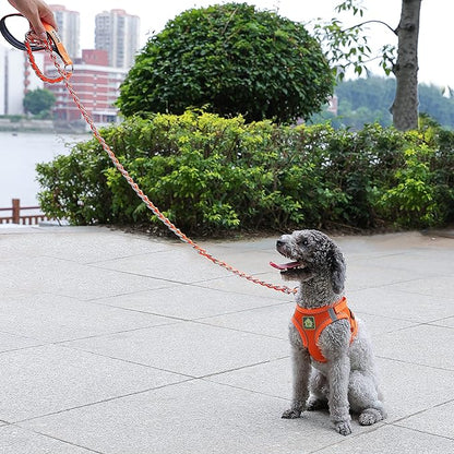 Chain Dog Leash Chew Proof Metal Leash for Medium Large Dogs 5.2FT Strong 3.0