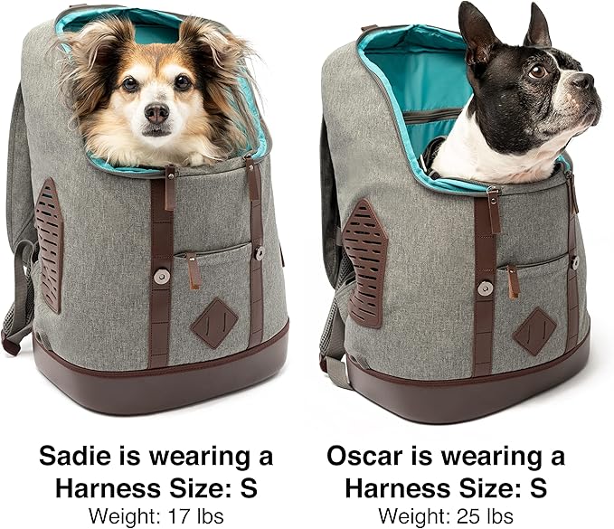 Kurgo Dog Carrier Backpack for Small Pets - Dogs & Cats | TSA Airline Approved | Cat | Hiking or Travel | Waterproof Bottom | G-Train | Ruck Sack | Heather Grey