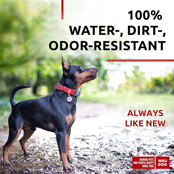 Waterproof Dog Collar