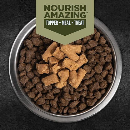 ORIJEN Tundra Freeze-Dried Epic Bites 6OZ