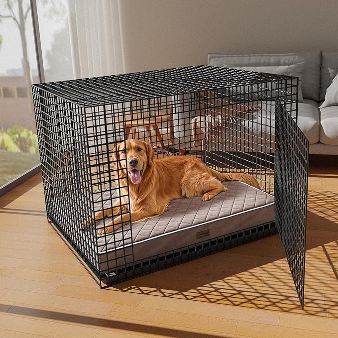 SunStyle Home Orthopedic Dog Beds for XX-Large Dogs