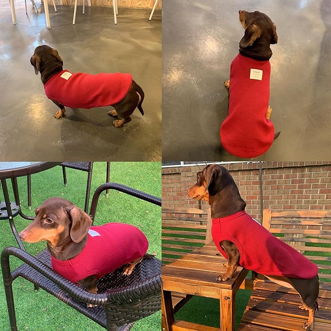 Dachshund Clothes for Dogs Mini and Adults T Shirts (XS