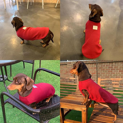 Dachshund Clothes for Dogs Mini and Adults T Shirts (XS