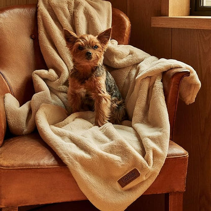 UnHide Lil’ Pet Marsh 34” x 44”