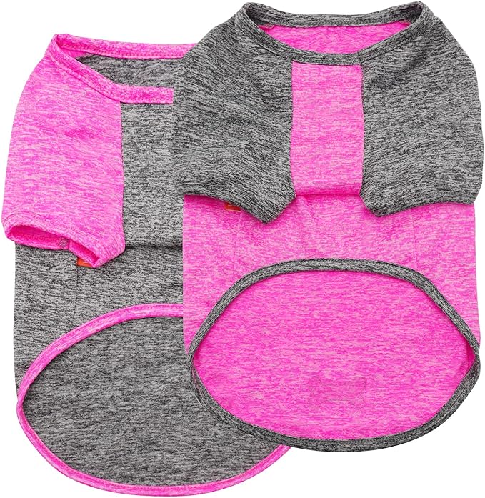 KYEESE 2 Pack Dog Shirts Quick Dry Raglan