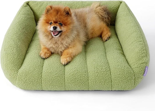 Lesure Orthopedic Dog Bed Sofa for Small Dogs & Cats Foam(24" x 18" x 9.5", Green)