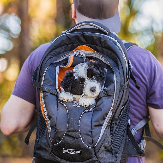 Kurgo G-Train - Dog Carrier Backpack for Small Pets - Cat & Dog Backpack for Hiking, Camping or Travel - Waterproof Bottom - Navy Blue