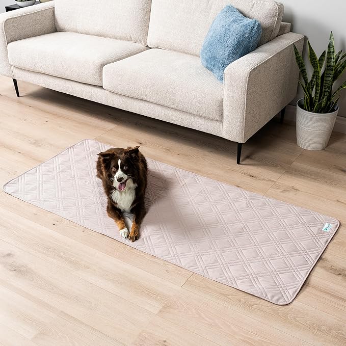 PetAmi Waterproof Couch Cover for Dogs 30x70 Beige