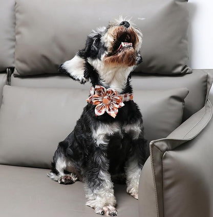 Unique Style Paws Cotton Dog Collar with Bow