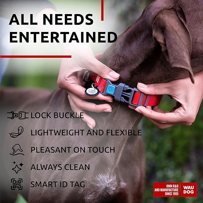 Waterproof Dog Collar
