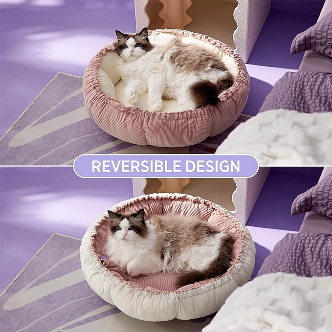 Lesure Cat Beds for Indoor Cats 21x21x7 Inches