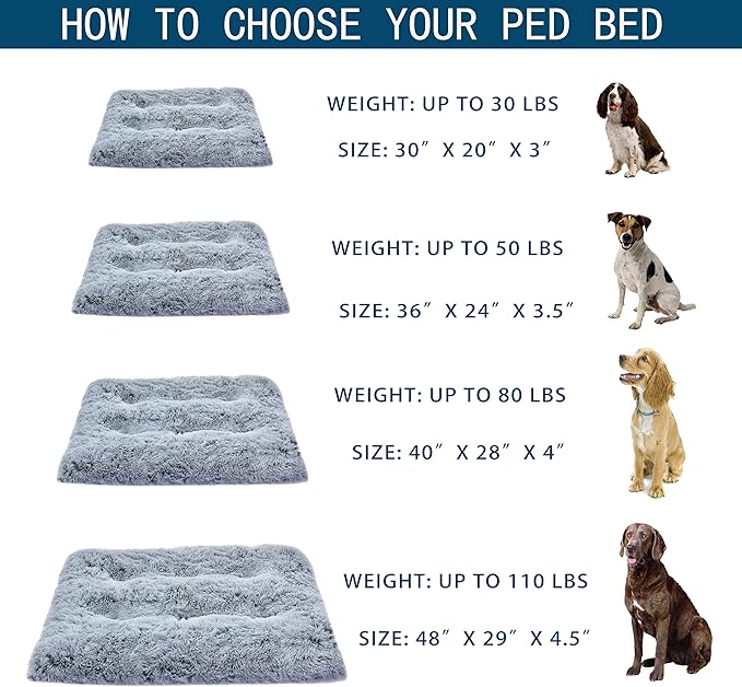 Dog Bed for Medium 36 X 24 in