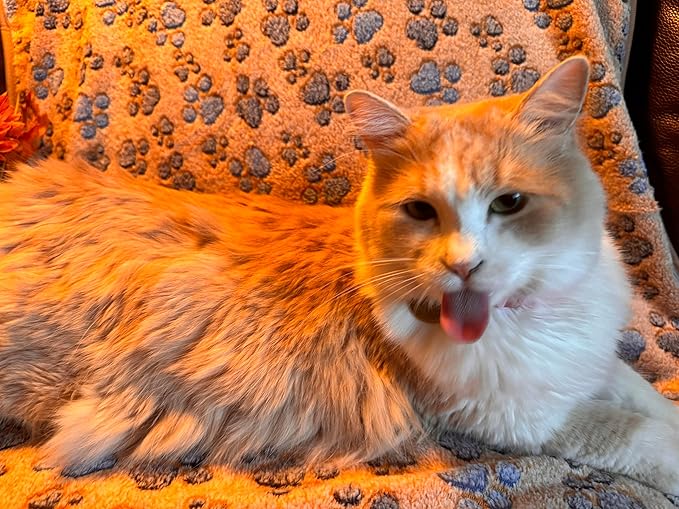 Pet Blankets The Value Pack: 3 Cozy Blankets for All Indoor Pets