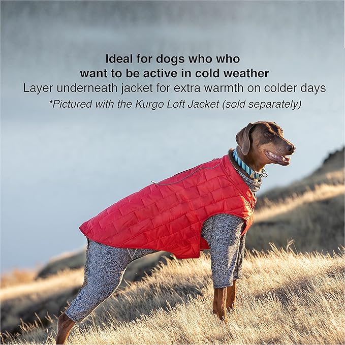 Kurgo Stowe Base Layer