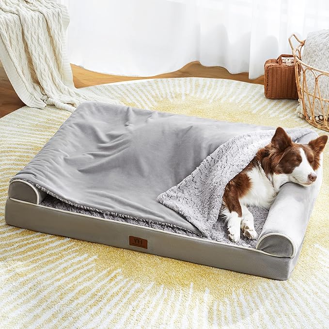 Orthopedic Dog Beds for Large Dogs