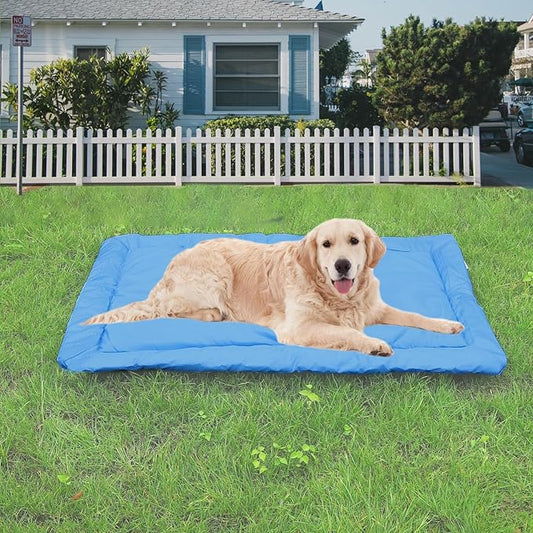 LUCKITTY Portable Camping Dog Bed