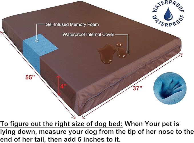 Dogbed4less Premium XXL Orthopedic Memory Foam Pet Bed for Large Dogs 55X37X4 Inch