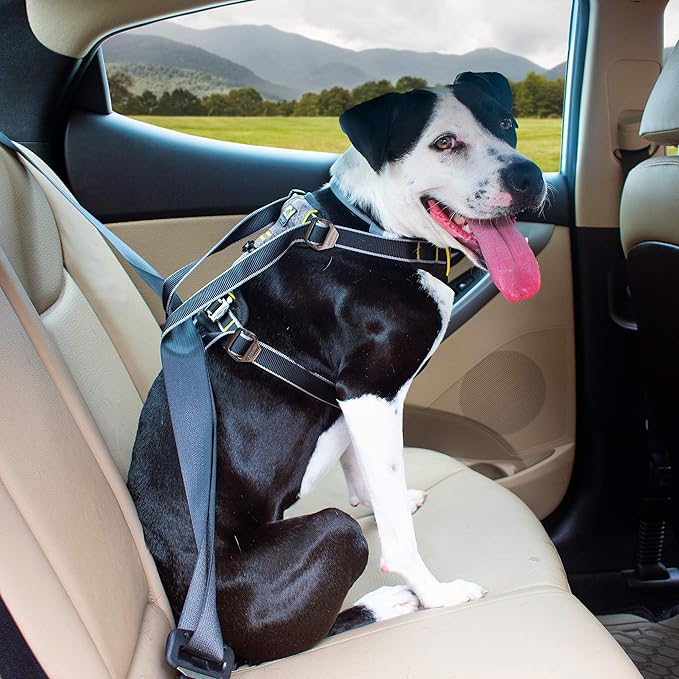 Kurgo Impact Dog Car Harness, Crash Tested Dog Car Harness, Safety Harness for Dogs, Pet Seatbelt Harness, Up to 108 lbs, Black/Charcoal (X-Large)