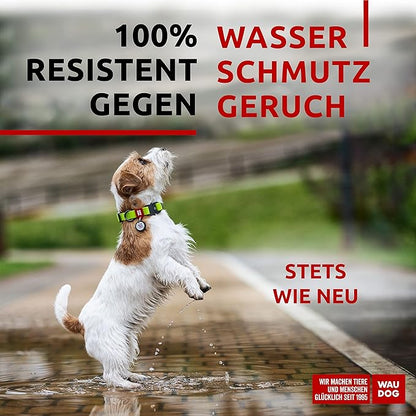 WAUDOG Waterproof Dog Collar