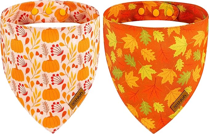 Fall Dog Bandanas 2 Pack
