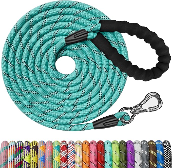 NTR 3FT Heavy Duty Dog Leash