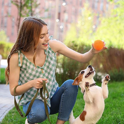 Rachael Ray Nutrish Little Bites Dry Dog Food, Chicken & Veggies Recipe for Small Breeds, 14 Pound Bag