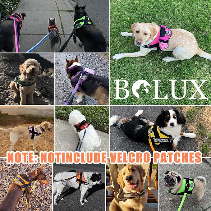 Bolux Dog Harness, No-Pull Reflective Dog Vest, Breathable Adjustable Pet Harness with Handle for Outdoor Walking - No More Pulling, Tugging or Choking (Small (Pack of 1), YellowOrange)