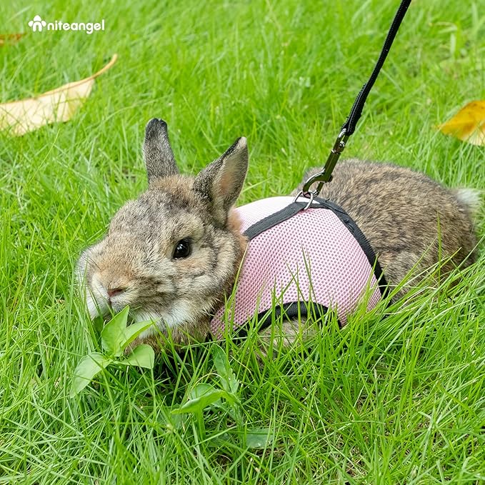 Niteangel Adjustable Soft Harness with Elastic Leash for Rabbits (M, Pink)